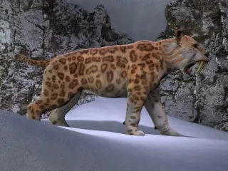 Sabre-toothed cats' extinction driven by climate, human competition, and inbreeding