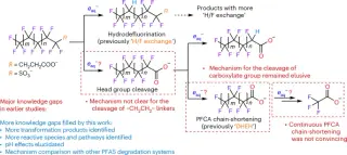 UV-triggered hydrated electrons reveal deeper PFAS defluorination routes