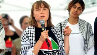 Thunberg Mobilizes Global Base for French Riots as 'Red-Green-Green' Alliance Emerges