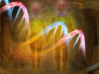 Ancient Genome Tracks Rapid Turn in Human Evolution