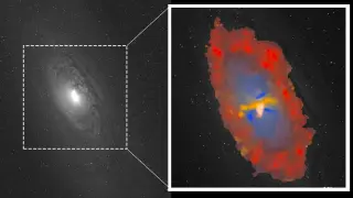 Black Holes as Galactic Sculptors: Triggering Star Formation