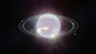 Nereid May Be Neptune's Last Survivor From a Violent Moonpocalypse