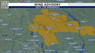 Tropical Storm Edouard Triggers Gusty Winds in Northeast Houston