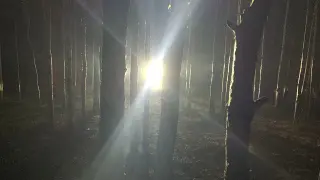 Kentucky Witness Reports Giant Hairy Figure After Nighttime Knocking Sounds