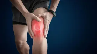 Daily prebiotic fiber reduces knee OA pain and strengthens grip