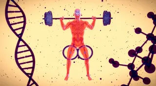 Global drop in men's testosterone over 50 years sparks health concerns