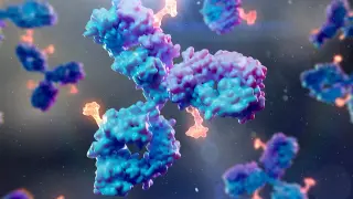 Antibody Breakthrough Targets Epstein-Barr Virus, Hinting at Transplant Protection