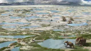 New Mexico Footprints Reveal 2,000-Year Human Survival Amid Ice Age Climate Chaos
