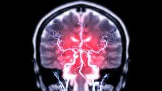 Danish study links some hormonal contraceptives to rare brain tumor risk