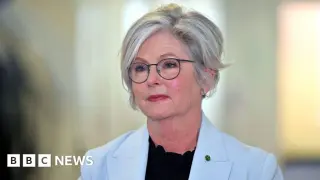 Australian MP Helen Haines Loses Leg After Deliberate Car Attack in Wangaratta