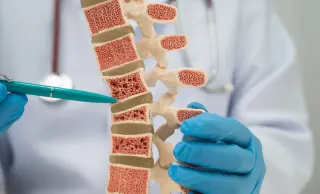 Bone-Strength Switch Found: GPR133 May Redefine Osteoporosis Therapy