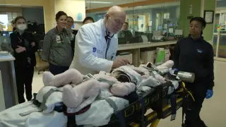 Missouri doctors separate conjoined-at-the-head twins, opening path to independence