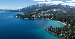 Tahoe sea otter attack tests the power of confident swimming