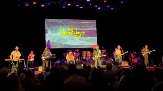 Beach Boys' Nashville Performance Raises Questions About Mike Love's Final Show