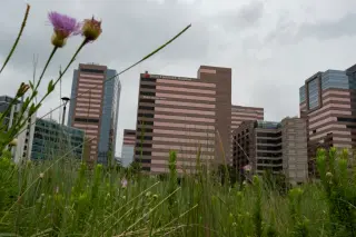 Texas Children’s Hospital Ordered to Open Detransition Clinic Under $10M Settlement
