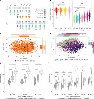 Maternal gut microbiome seeds infant health and eczema risk