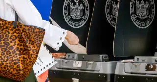 Voter data demystified: what’s publicly available about voter rolls