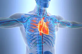 ApoB Blood Test Promises Better Heart-Health Guidance Than LDL