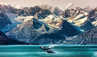 Deep-Sea Afterlife: A Whale’s Death Sparks a Hidden Ocean Oasis