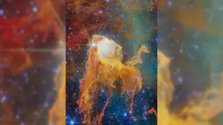 JWST uncovers a glowing 'Treasure Chest' of newborn stars in the Carina Nebula