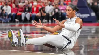 Wilson's Technical Foul and Fan Confrontation Spark Controversy in Fever-Aces Playoff Game 2