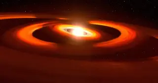 James Webb Spots a New Cosmic Class: a Black Hole Star Wrapped in Gas