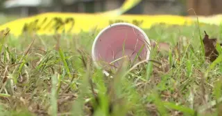 Vienna Block Party Mass Shooting Leaves 2 Dead, 35 Injured as GBI Leads Probe
