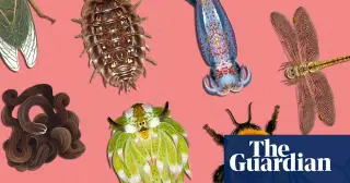 Tiny legends compete for 2026 Invertebrate of the Year