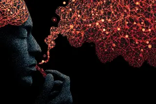 Midbrain–Thalamus Rhythm Identified as a Consciousness Signature