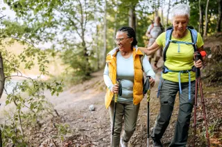 New Research Shows Ovaries Remain Biologically Active Long After Menopause