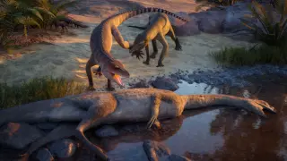 Ghost Ranch fossil gains a name, revealing a new Triassic crocodylomorph