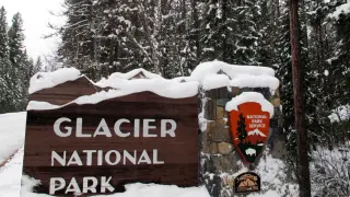 Glacier National Park reports its first fatal bear encounter in 28 years