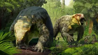 New Tanzanian Dicynodont Rewrites the Timeline for Early Dinosaurs