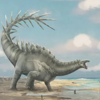Rare European Stegosaur Skull Rewrites Dinosaur Evolution