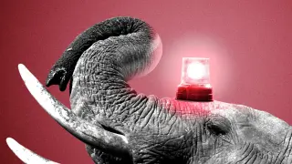 Senate Democrats Launch $1.2M Mississippi Campaign as GOP Fears Deep-Red Losses