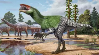 Century-Old Museum Fossil Reveals Europe’s First Megaraptoran Dinosaur