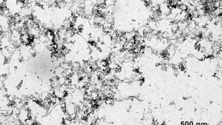 Ultra-Black Car Paint Promises 99.9% Light Absorption for Luxury Finishes