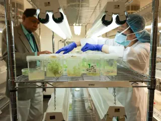 Penn researchers develop antiviral chewing gum to curb oral cancer risk