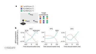 Brain blends goals to pursue multiple aims simultaneously