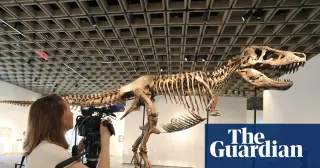 Gus the T. rex heads to auction, fueling debate over fossil ownership and science access