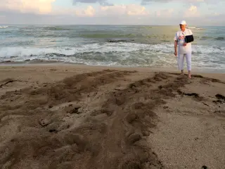 Beirut bids farewell to Lebanon’s turtle advocate Mona Khalil
