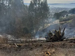 Berkeley Hills Fire Contained on 35th Anniversary of 1991 Oakland Firestorm
