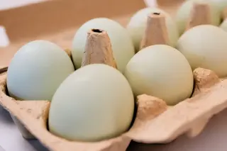 Nearly 53 Million Eggs Donated Under DOJ Price-Inflation Settlement
