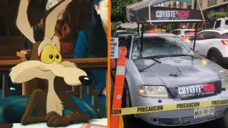 Coyote Vs Acme ads turn billboards into traffic-stoppers