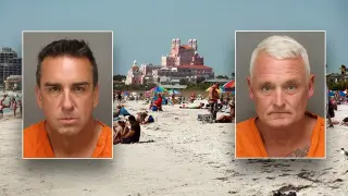 Mothball scheme lands Florida business owners in court over endangered shorebirds