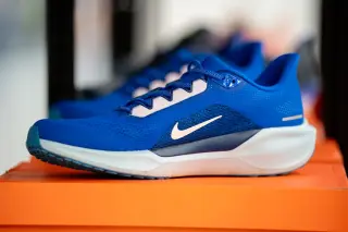 Nike sinks toward 2024 lows as growth doubts mount