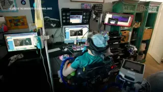 New Speech, New Job: ALS Patient Uses Breakthrough Brain-Computer Interface to Work Full-Time