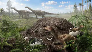 Titans' eggs hatched with compost heat, not parental brooding