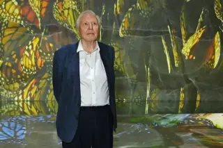 David Attenborough Turns 100 as World Celebrates His Century