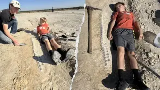 Kansas boy uncovers a near-complete 15-foot tylosaurus on geology club trip